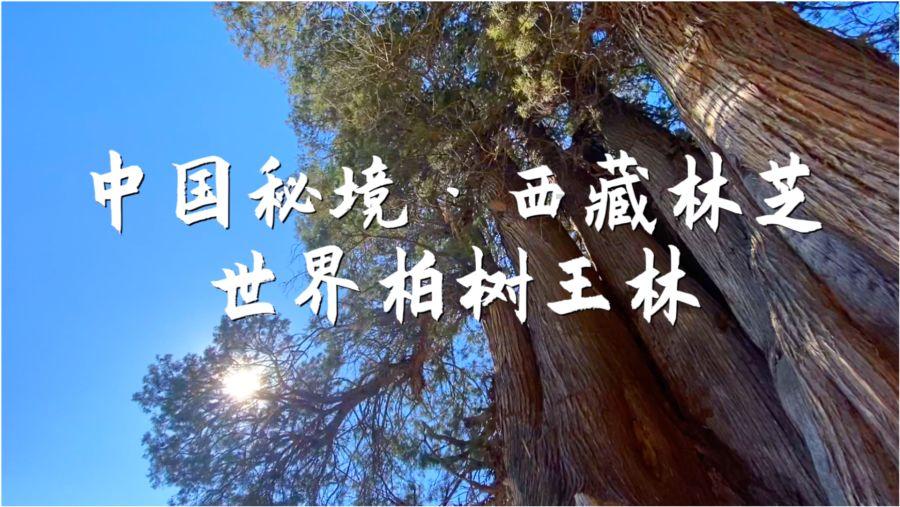 超奥特曼冒险4